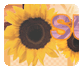 March 12, 2004: Version 6 - Summer Lovin'